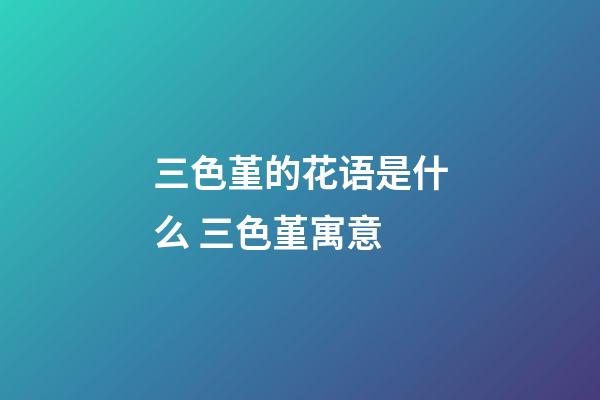 三色堇的花语是什么 三色堇寓意